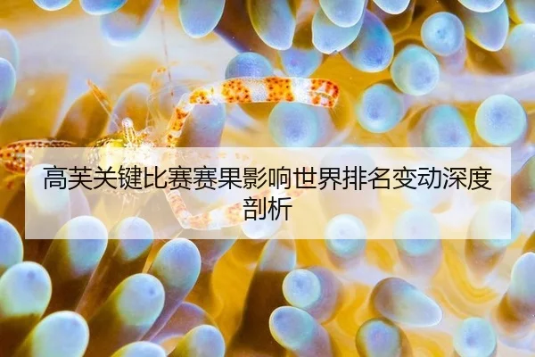 高芙关键比赛赛果影响世界排名变动深度剖析