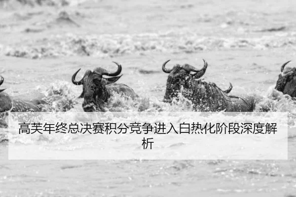 高芙年终总决赛积分竞争进入白热化阶段深度解析