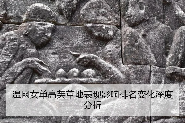 wen-wang-nv-dan-gao-fu-cao-di-biao-xian-ying-xiang-pai-ming-bian-hua-shen-du-fen-xi-2-545.jpg
